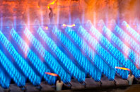Backies gas fired boilers